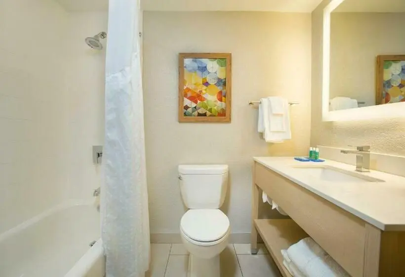 スタンダードルーム, Holiday Inn Express & Suites S Lake Buena Vista, An Ihg