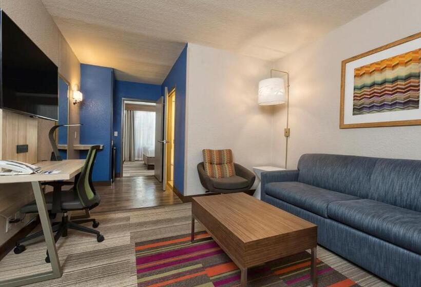 适合残疾人士使用的套间, Holiday Inn Express & Suites S Lake Buena Vista, An Ihg