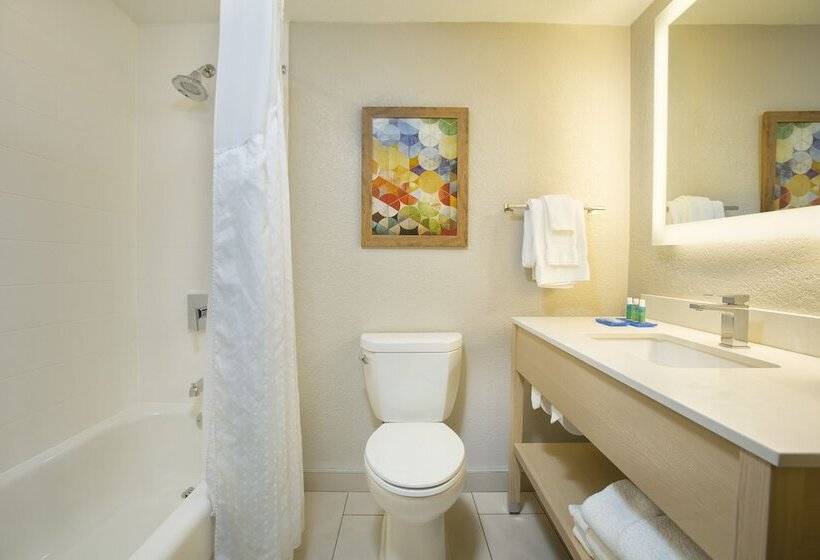 ２ダブルベッドのスタンダードルーム, Holiday Inn Express & Suites S Lake Buena Vista, An Ihg