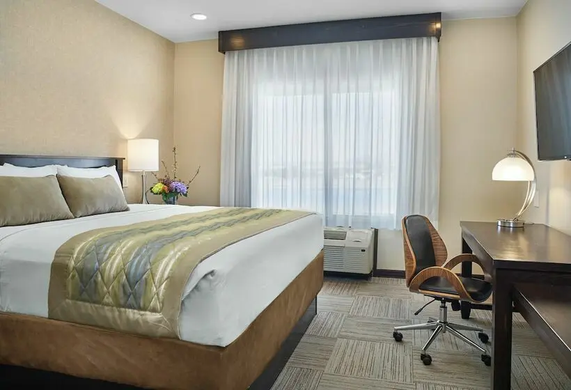 ２ダブルベッドのスタンダードルーム, The Hotel At Sunland Park Casino El Paso, Ascend Hotel Collection