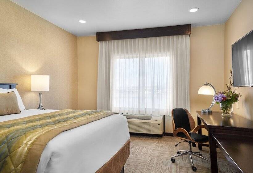Номер Стандарт 2 Двуспальные Кровати, The Hotel At Sunland Park Casino El Paso, Ascend Hotel Collection