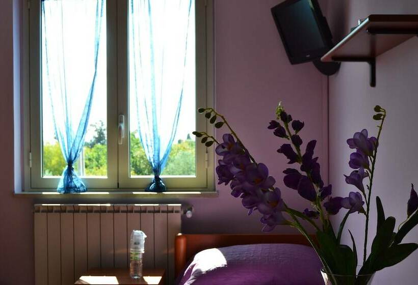 Люкс, Bed & Breakfast S. Elia