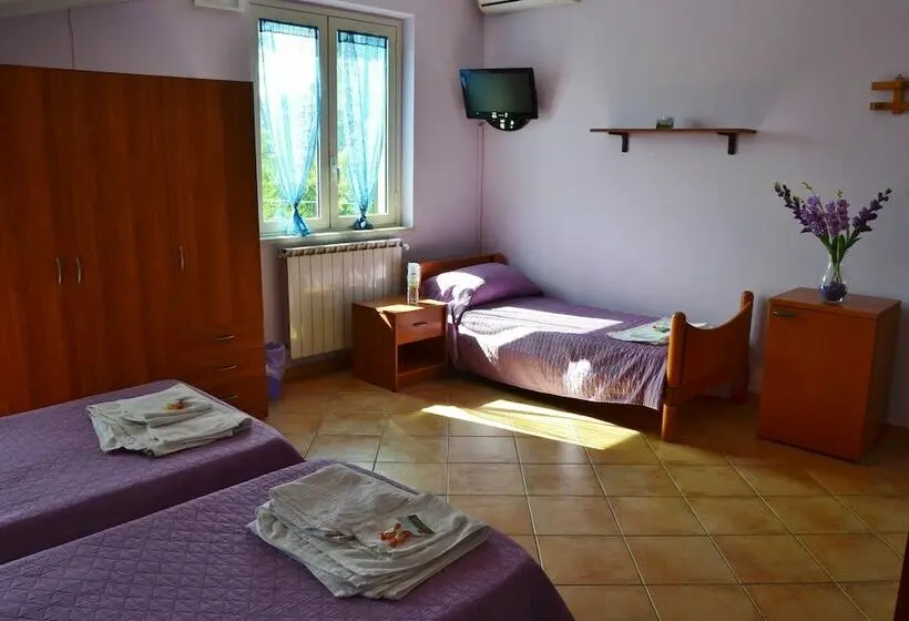 スイート, Bed & Breakfast S. Elia