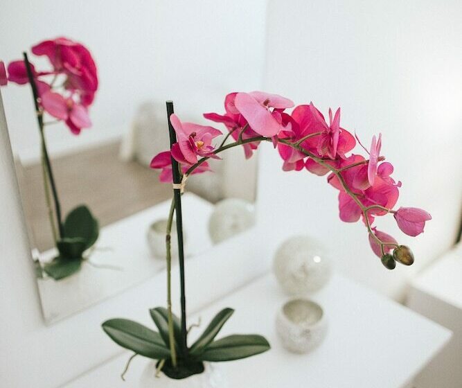 标准间, Hostel Globo