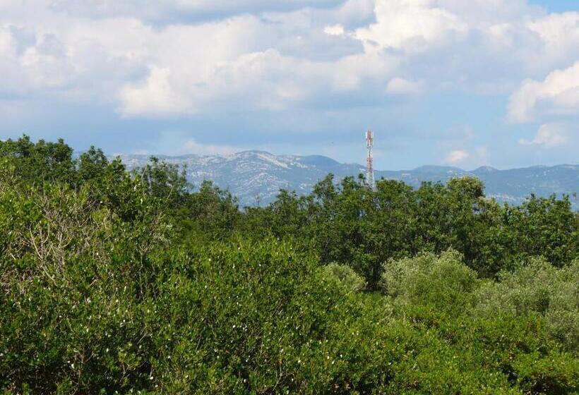 테라스 산전망 스탠다드 룸, Pansion Comfort Sidro