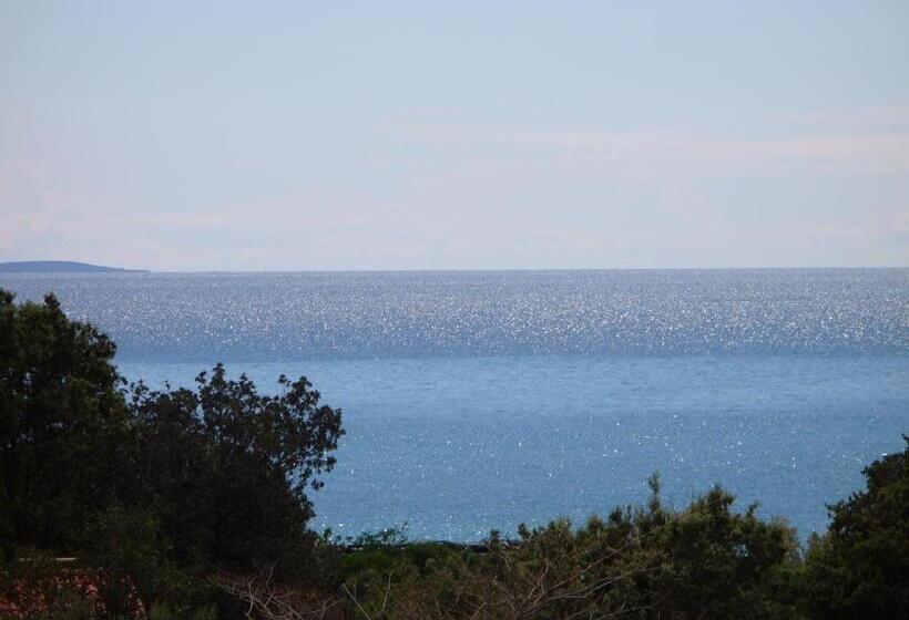 펜트하우스 룸, Pansion Comfort Sidro