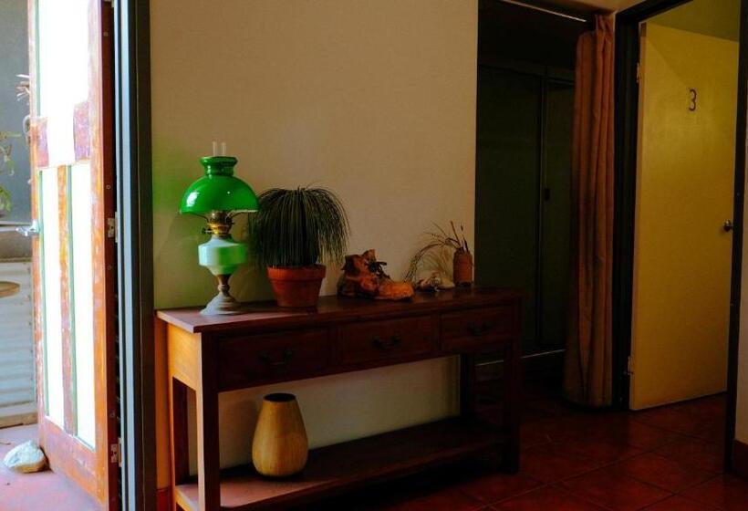 이코노미 룸, Backpackers At 1770