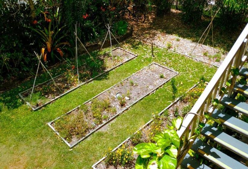 스탠다드 발코니 룸, Backpackers At 1770