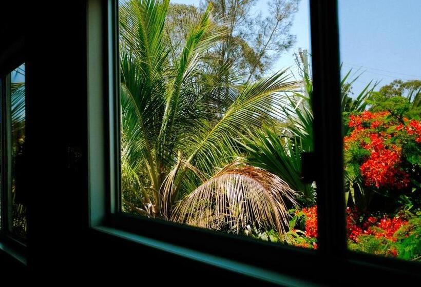 스탠다드 룸, Backpackers At 1770