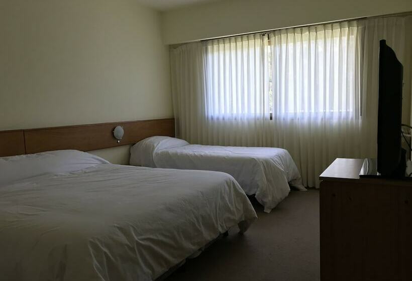 スタンダードトリプルルーム, Alun Nehuen