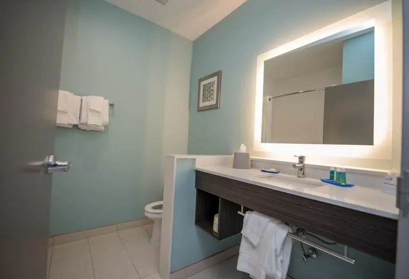 スイート, Holiday Inn Express & Suites   Lake Charles South Casino Area, An Ihg