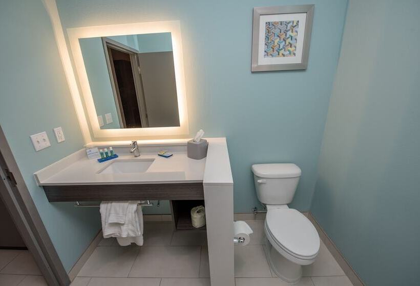 スイート, Holiday Inn Express & Suites   Lake Charles South Casino Area, An Ihg