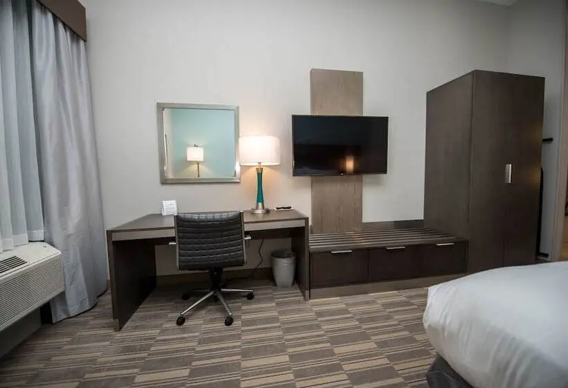 スイート, Holiday Inn Express & Suites   Lake Charles South Casino Area, An Ihg