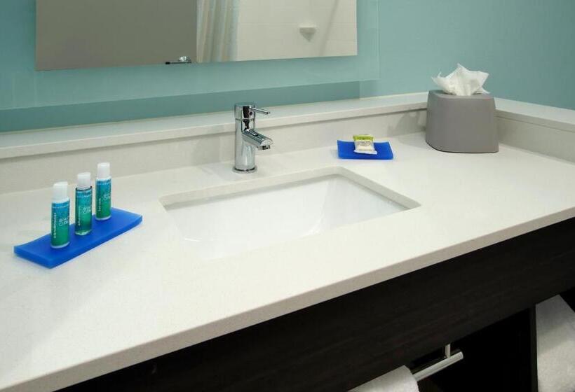 身障者適用キングサイズベッドルーム, Holiday Inn Express & Suites   Lake Charles South Casino Area, An Ihg