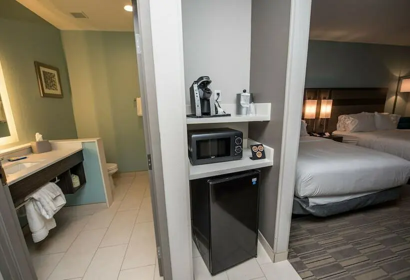 スタンダードルーム, Holiday Inn Express & Suites   Lake Charles South Casino Area, An Ihg