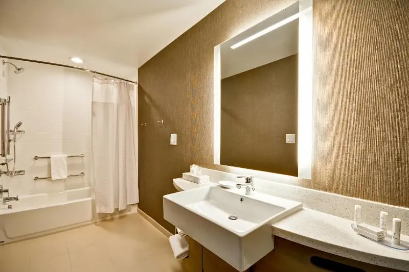 سوئیت با تخت بزرگ, Springhill Suites By Marriott Cincinnati Blue Ash