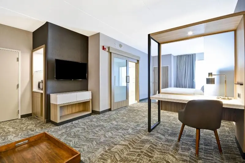 سوئیت با تخت بزرگ, Springhill Suites By Marriott Cincinnati Blue Ash