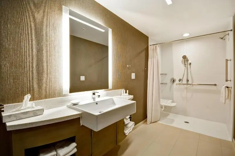 سوئیت با تخت بزرگ, Springhill Suites By Marriott Cincinnati Blue Ash