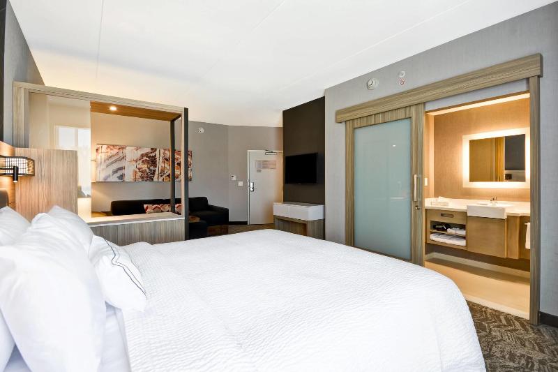 스위트 킹사이즈 침대, Springhill Suites By Marriott Cincinnati Blue Ash