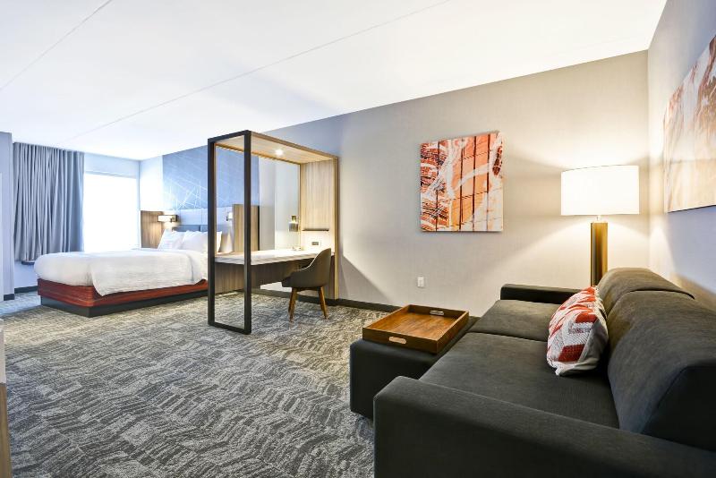 스위트 킹사이즈 침대, Springhill Suites By Marriott Cincinnati Blue Ash