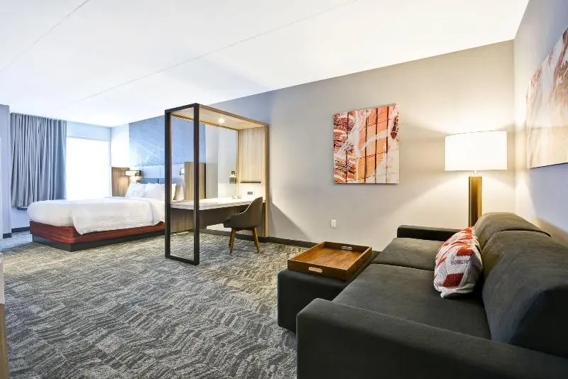سوئیت با تخت بزرگ, Springhill Suites By Marriott Cincinnati Blue Ash