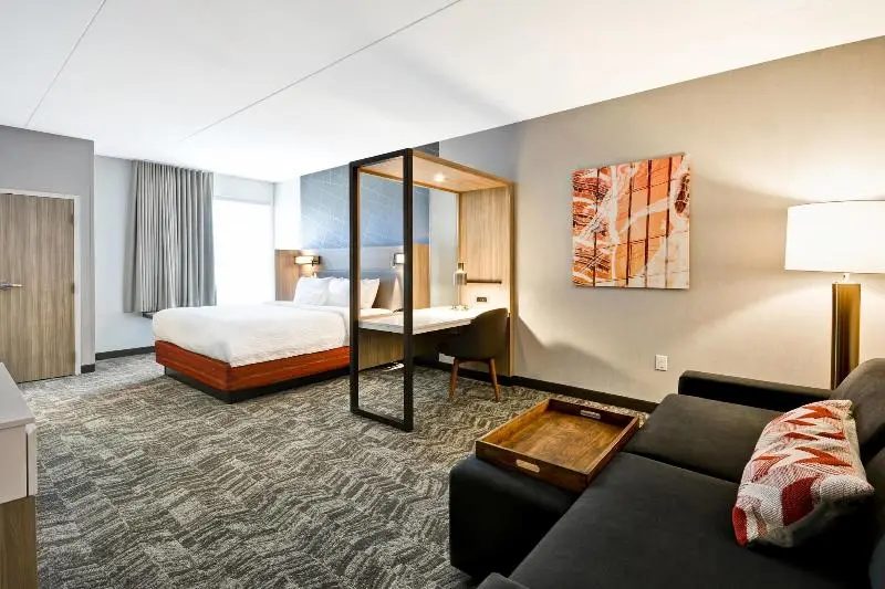 سوئیت با تخت بزرگ, Springhill Suites By Marriott Cincinnati Blue Ash