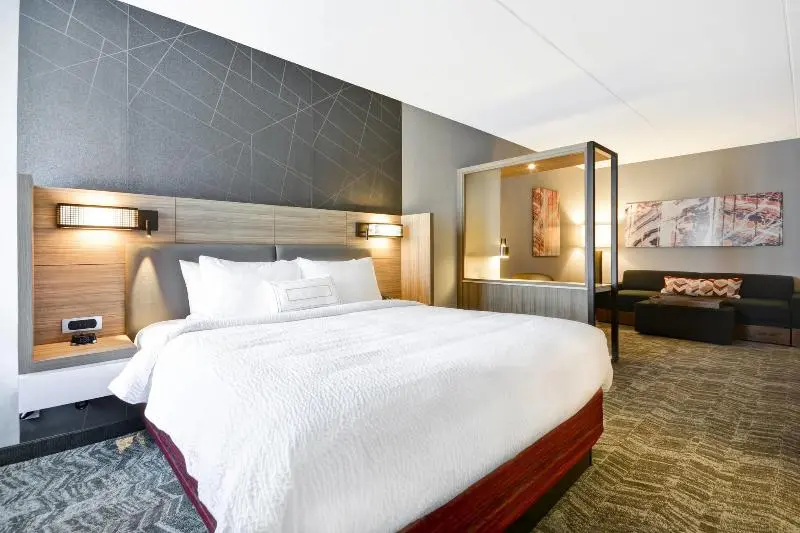 سوئیت با تخت بزرگ, Springhill Suites By Marriott Cincinnati Blue Ash