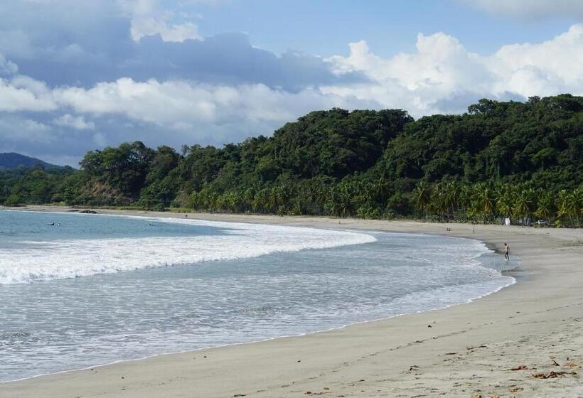 디럭스 방갈로, Villas Welcome To Heaven