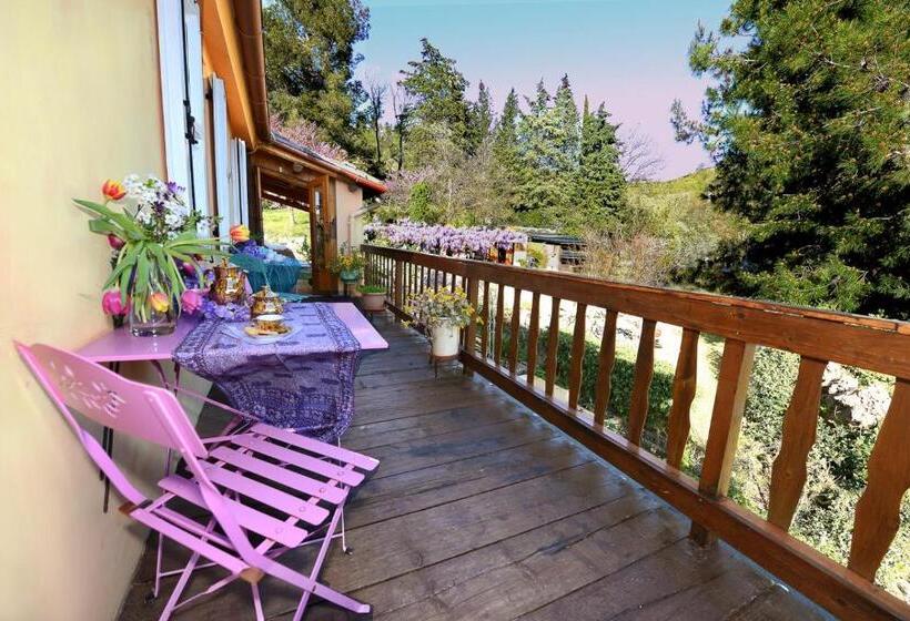 اتاق استاندارد, B&b Glicine