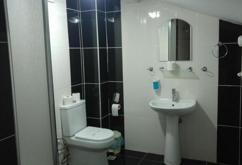 家庭间, Grand Ece