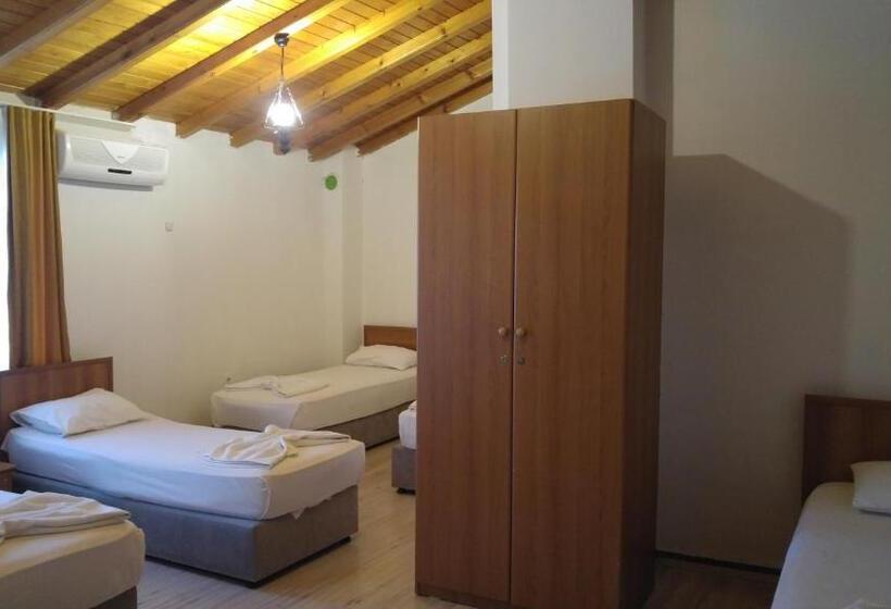 家庭间, Grand Ece