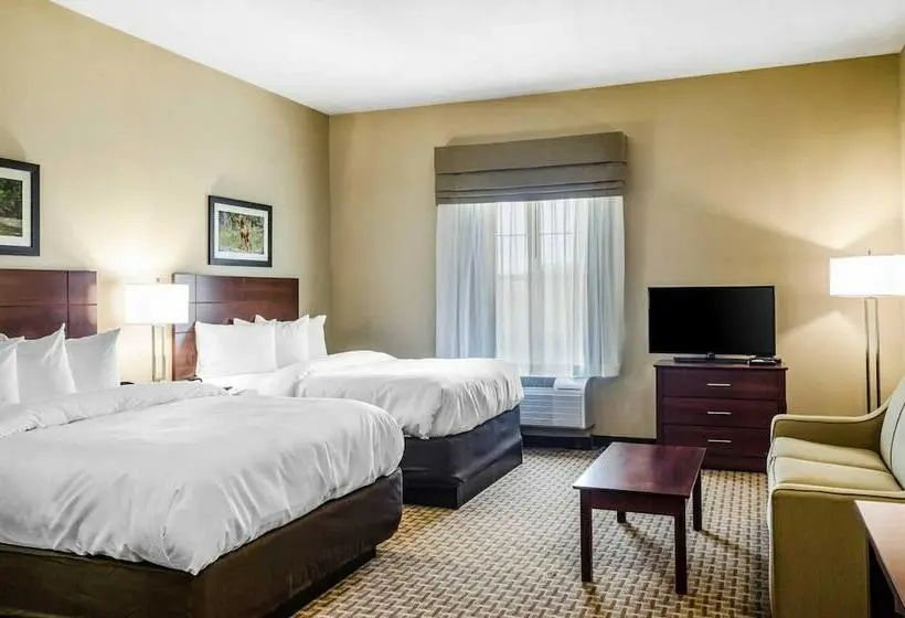 スイート, Mainstay Suites Hackberry Sportsman's Lodge