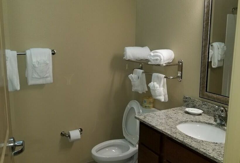 Люкс Адаптированный для Инвалидов, Mainstay Suites Hackberry Sportsman's Lodge