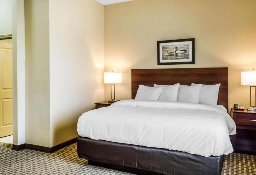 스위트 킹사이즈 침대, Mainstay Suites Hackberry Sportsman's Lodge