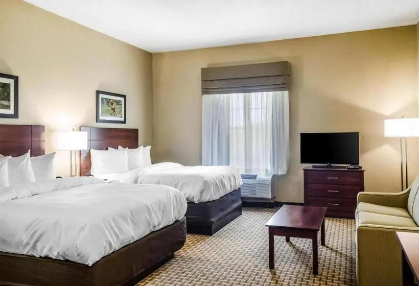 身障者適用スタンダードルーム, Mainstay Suites Hackberry Sportsman's Lodge
