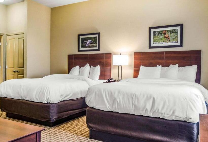 Номер Стандарт Адаптированный для Инвалидов, Mainstay Suites Hackberry Sportsman's Lodge