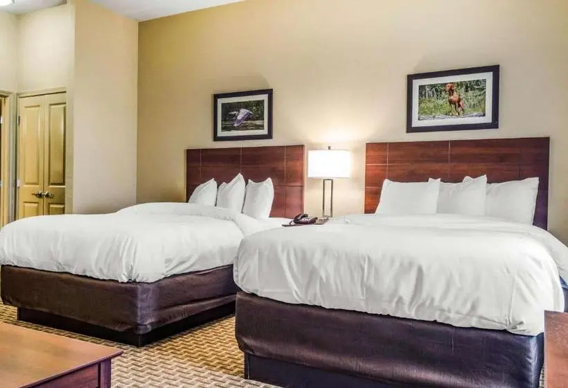 身障者適用スタンダードルーム, Mainstay Suites Hackberry Sportsman's Lodge