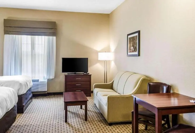 身障者適用スタンダードルーム, Mainstay Suites Hackberry Sportsman's Lodge