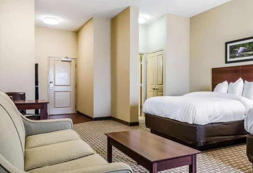 身障者適用スタンダードルーム, Mainstay Suites Hackberry Sportsman's Lodge