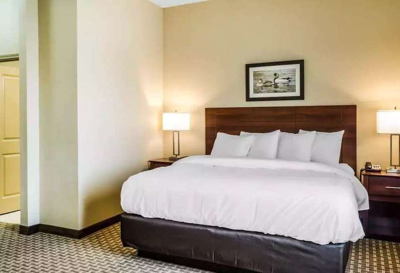 Люкс, Mainstay Suites Hackberry Sportsman's Lodge