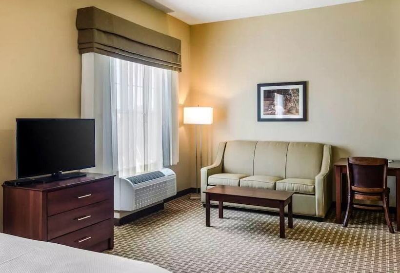 Люкс Адаптированный для Инвалидов, Mainstay Suites Hackberry Sportsman's Lodge