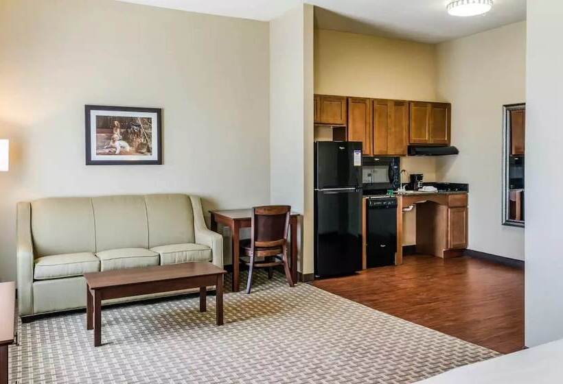 Люкс Адаптированный для Инвалидов, Mainstay Suites Hackberry Sportsman's Lodge