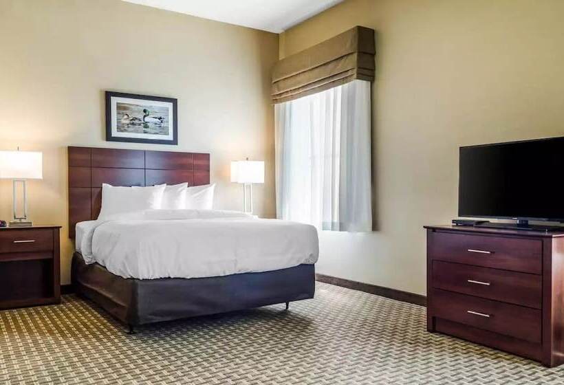 Люкс Адаптированный для Инвалидов, Mainstay Suites Hackberry Sportsman's Lodge