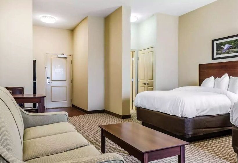 Люкс, Mainstay Suites Hackberry Sportsman's Lodge