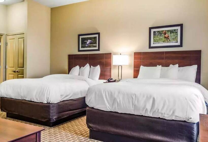 Люкс Адаптированный для Инвалидов, Mainstay Suites Hackberry Sportsman's Lodge