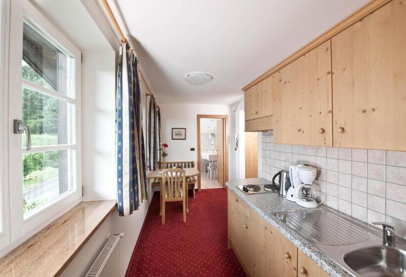 إستديو قياسى مزود بشرفة, Alpwellhotel Burggräfler