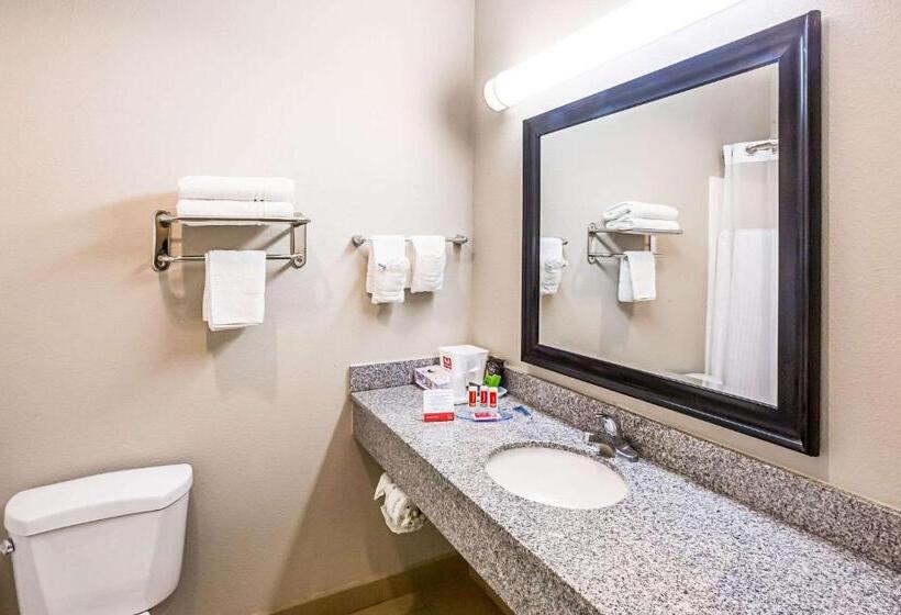 스탠다드 룸 킹사이즈 침대, Econo Lodge Baton Rouge University Area