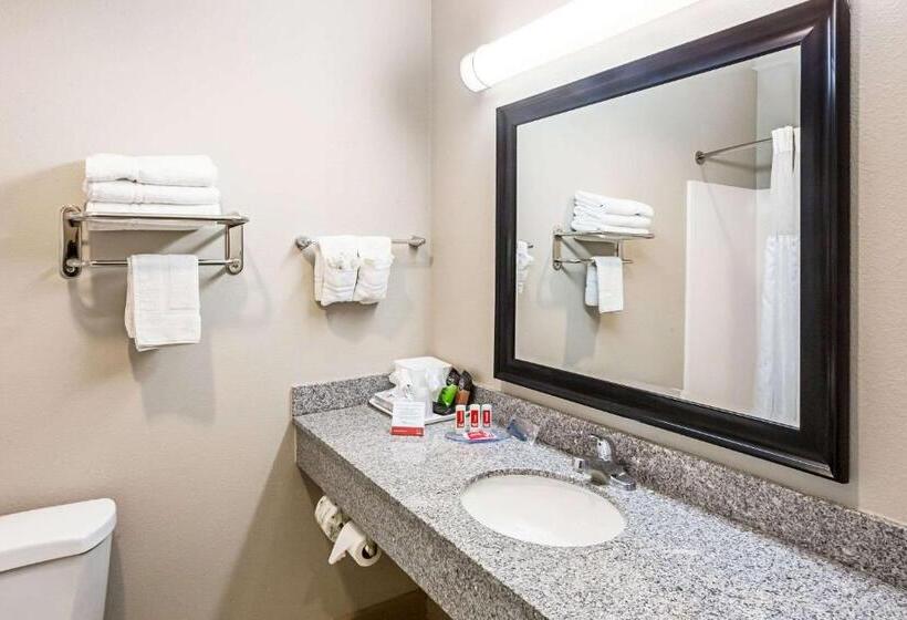 חדר סטנדרט, Econo Lodge Baton Rouge University Area