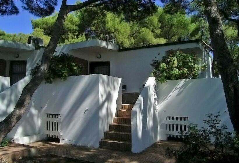 Номер Стандарт Трехместный, Kyrie Isole Tremiti