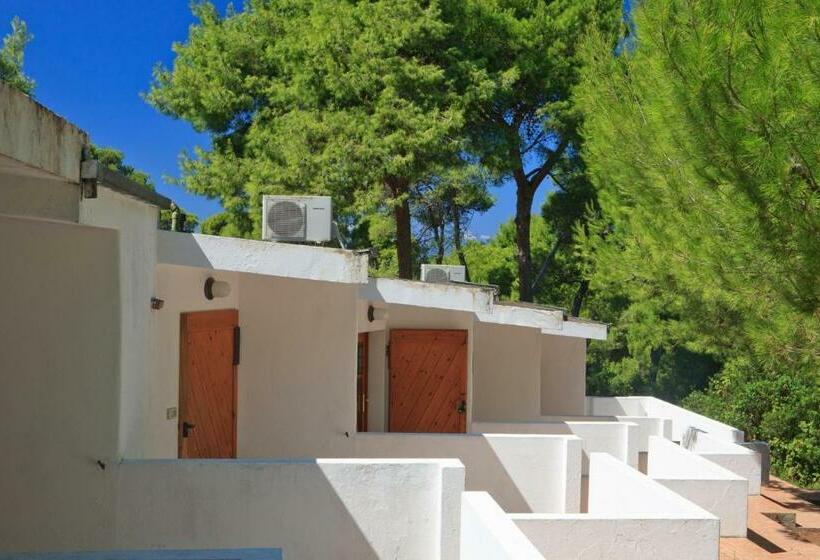 Номер Стандарт, Kyrie Isole Tremiti